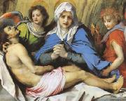 Andrea del Sarto Pieta (mk08) oil on canvas